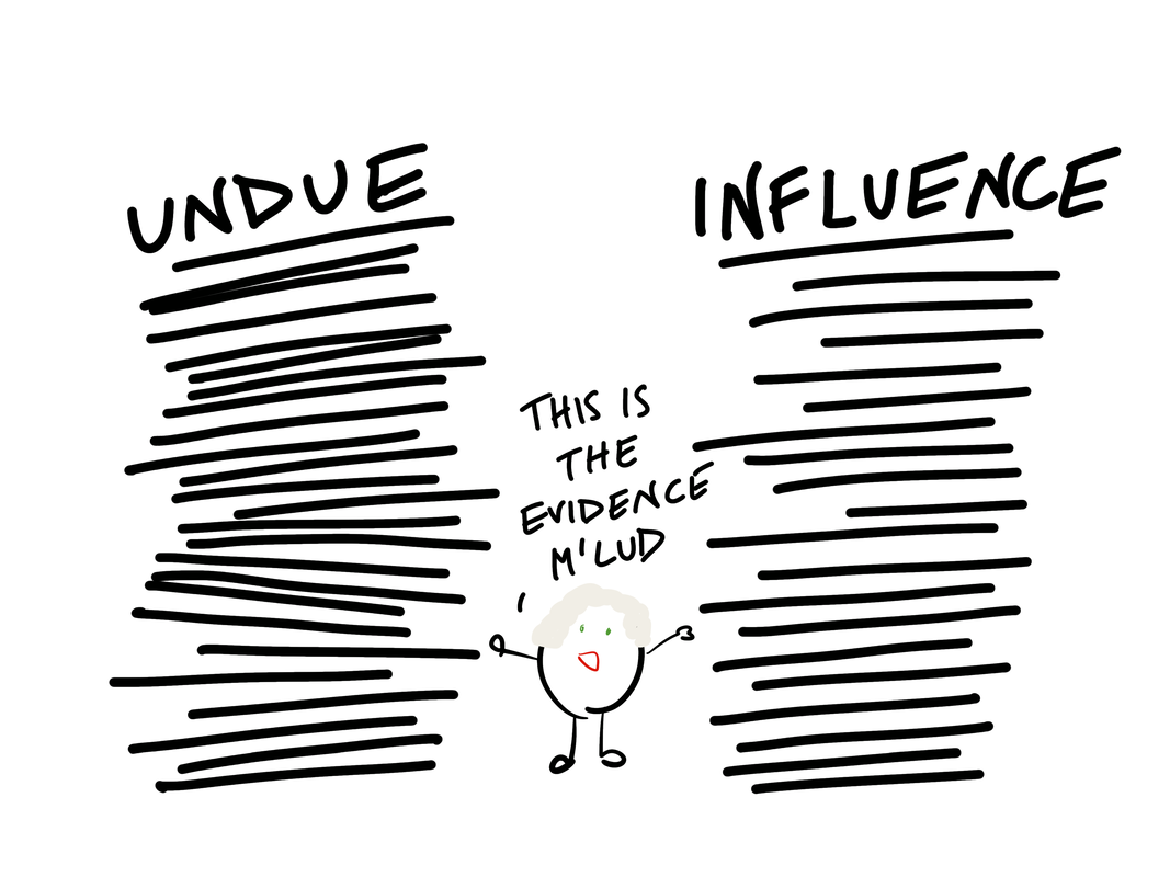 Undue Influence Carlil & Carbolic Law Study Resources